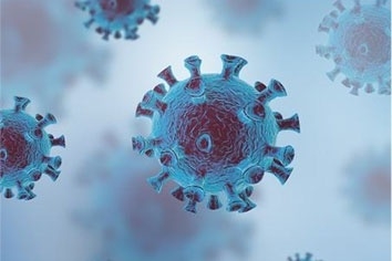 疫情期間保祿人不斷為海外同胞提供援助，守望相助、共待春暖花開。