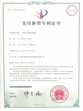 Utility model patents